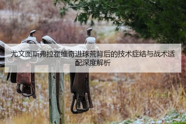 尤文图斯弗拉霍维奇进球荒背后的技术症结与战术适配深度解析